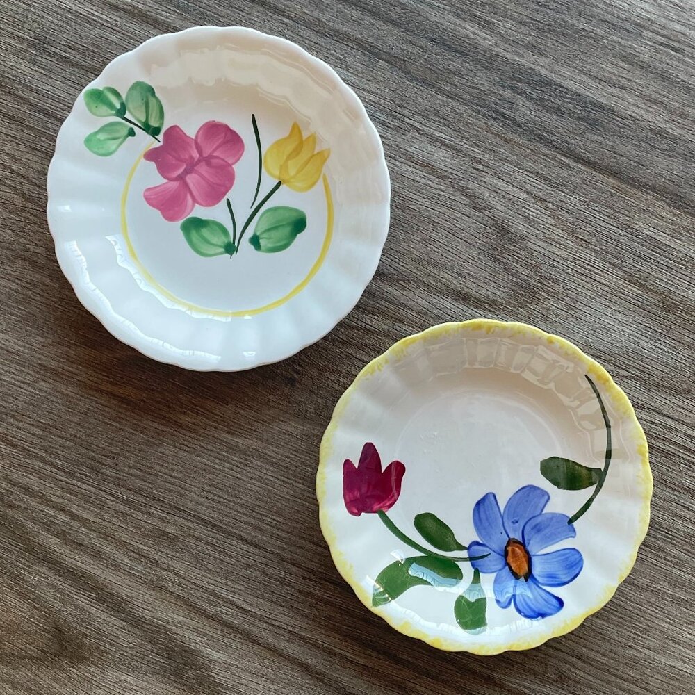 2 Vintage Blue Ridge Southern Pottery - Hand Painted China 5.5 inch Bowls  $15